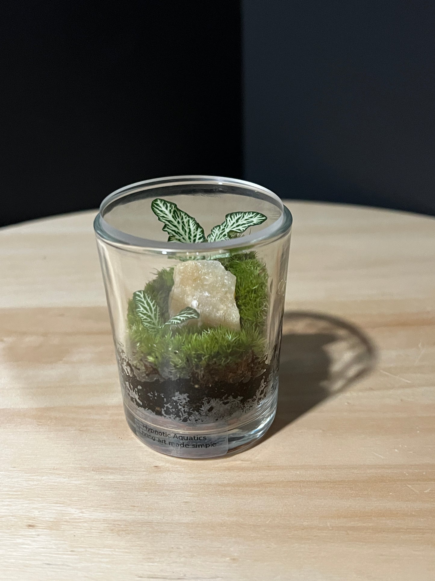 Terrarium 737