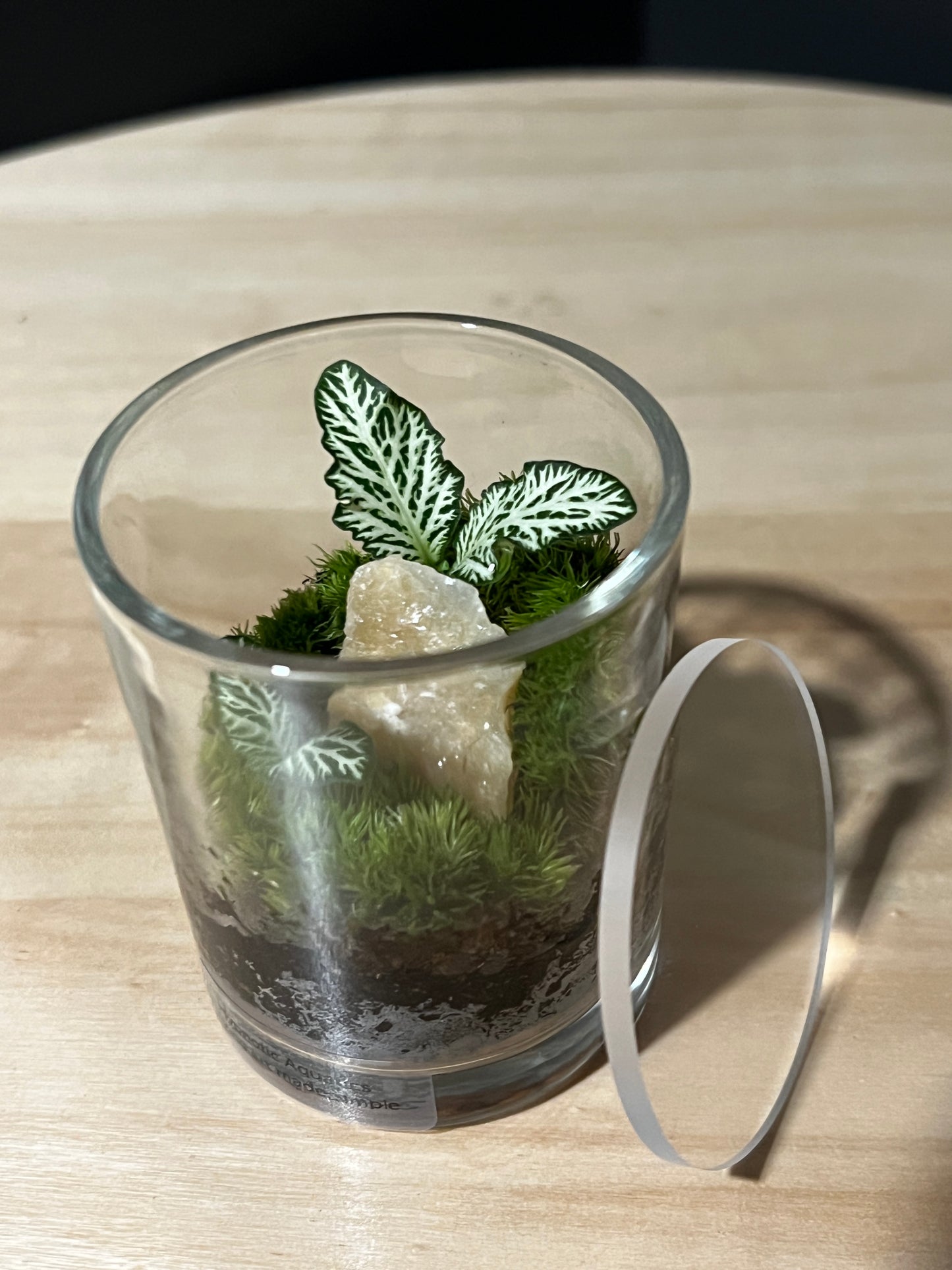 Terrarium 737