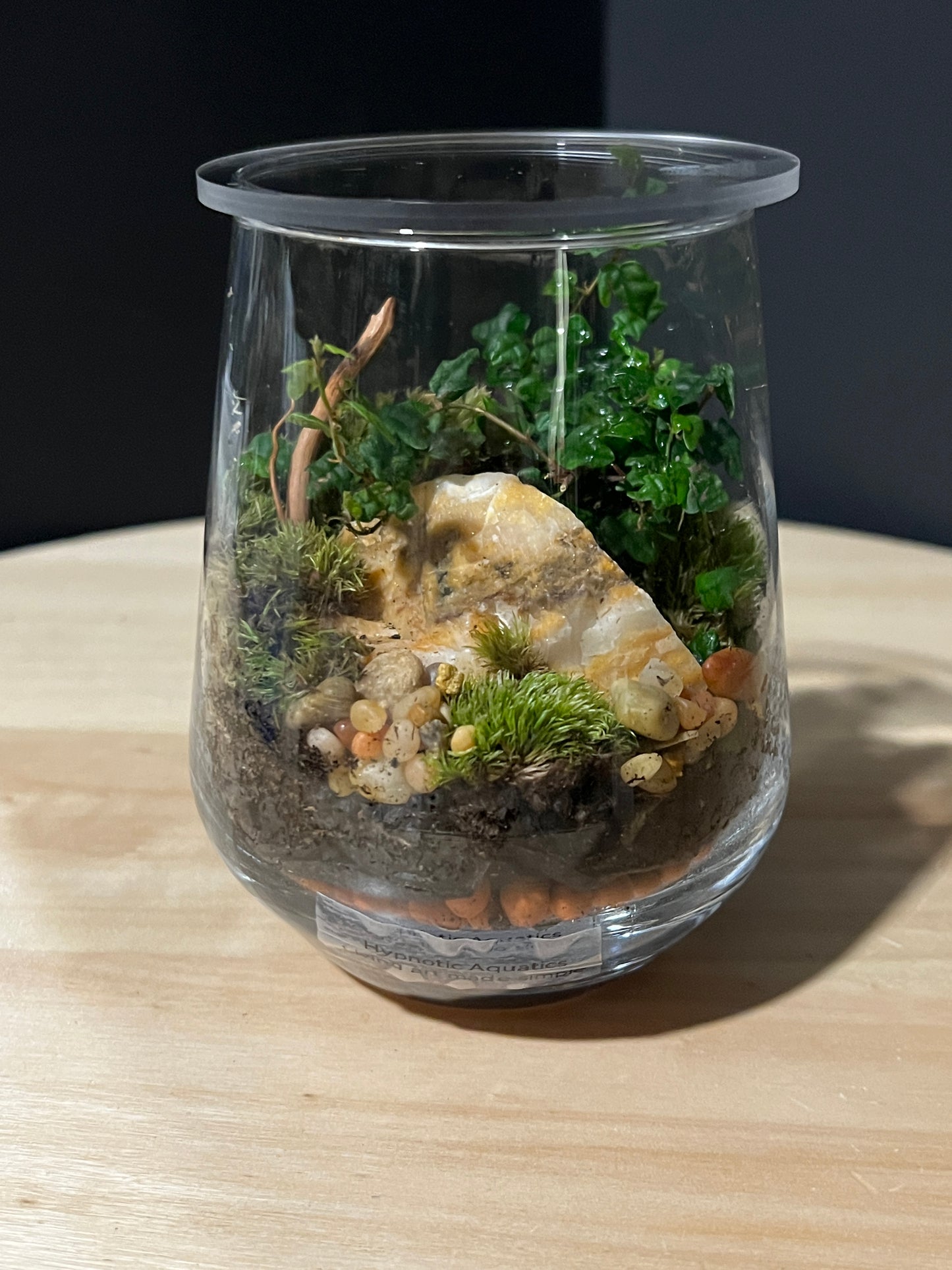 Terrarium 739