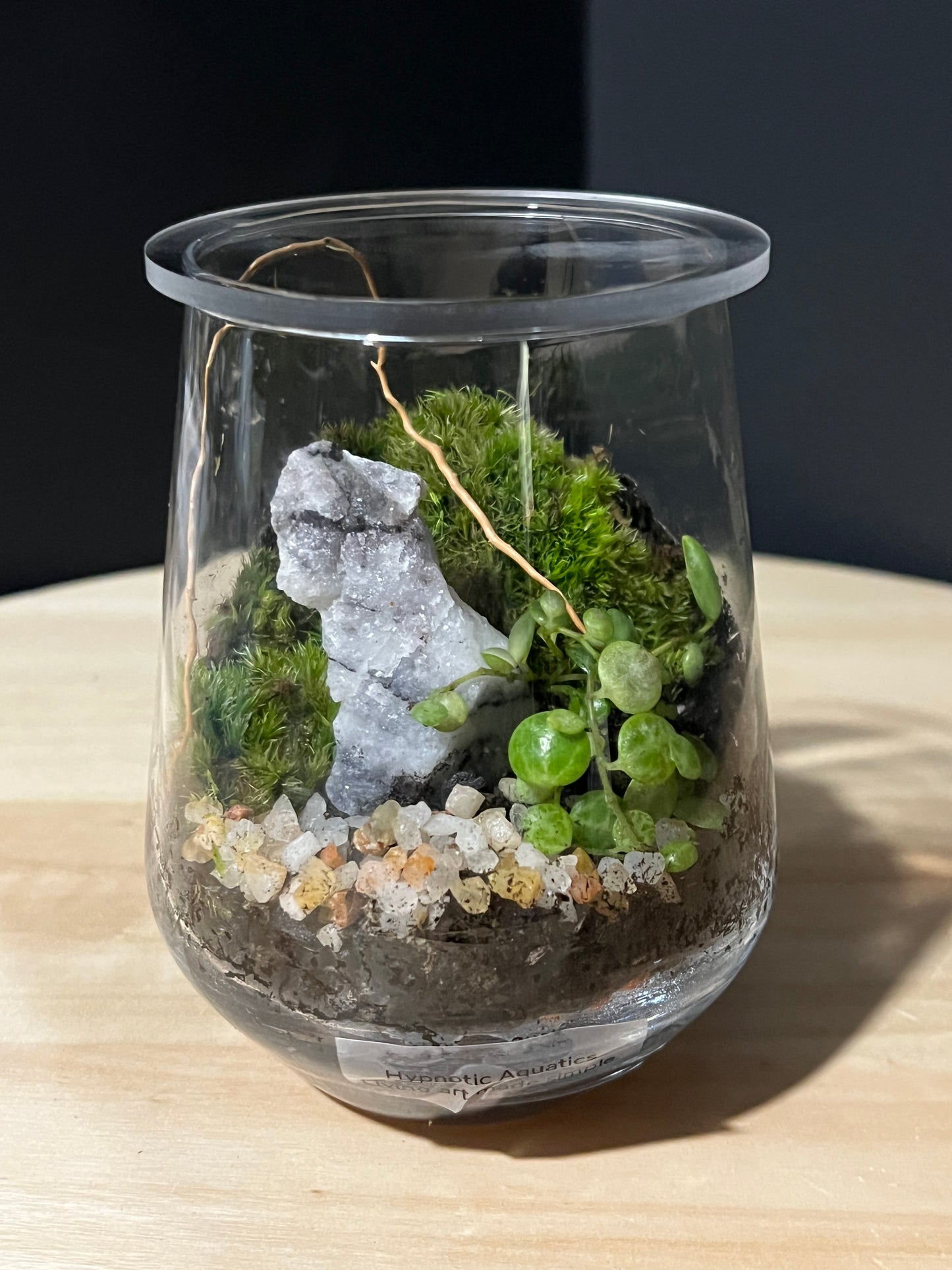 Terrarium 740