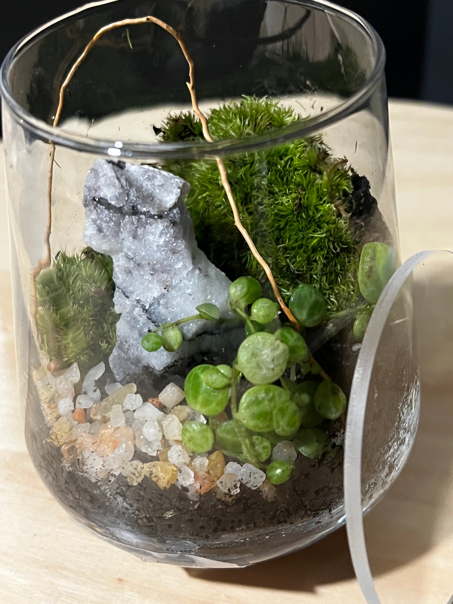 Terrarium 740
