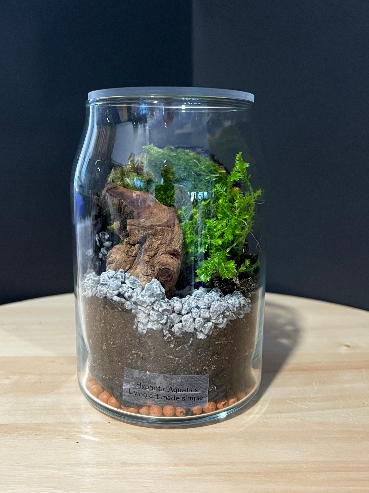 Terrarium 743