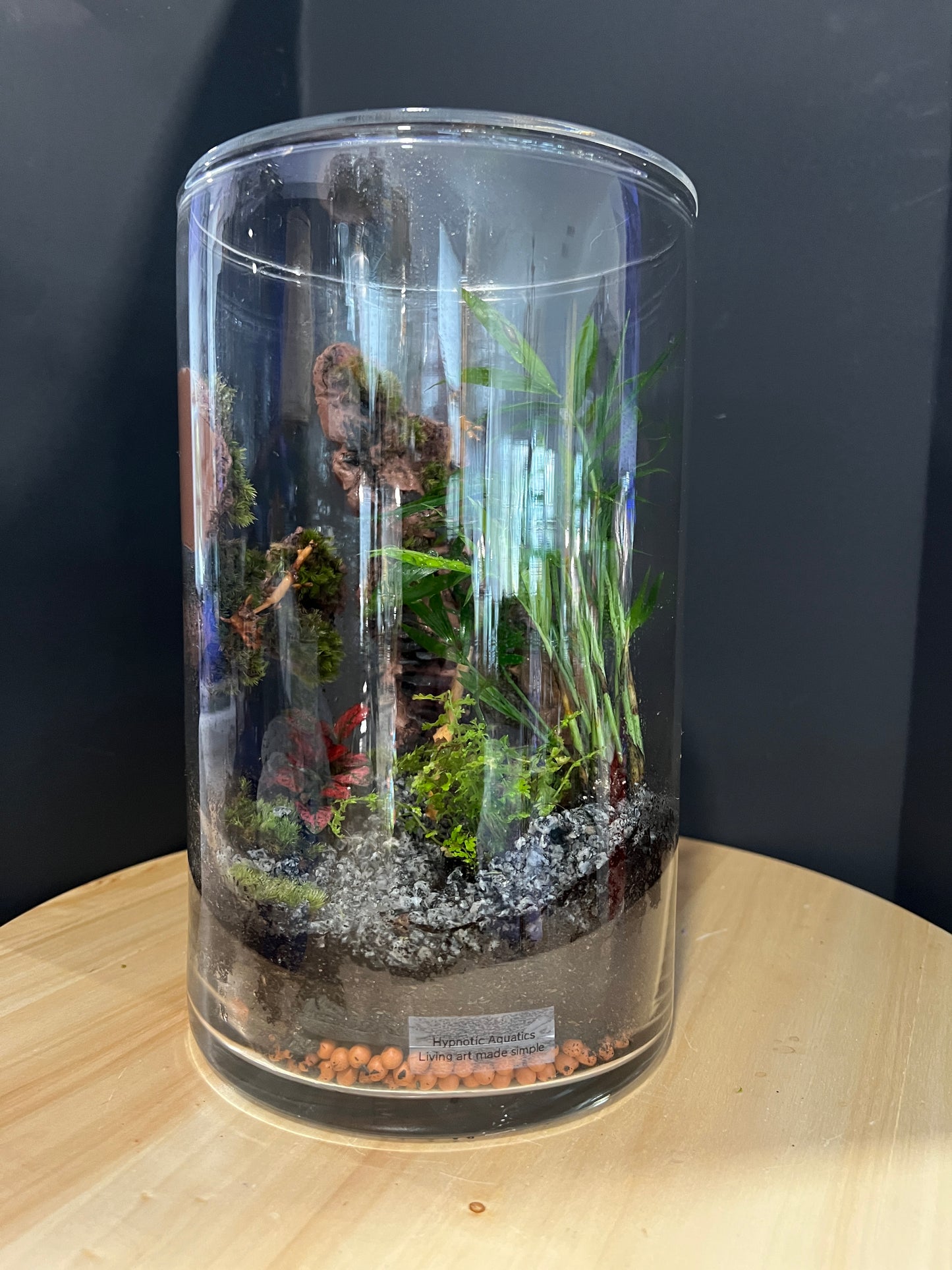 Terrarium 744