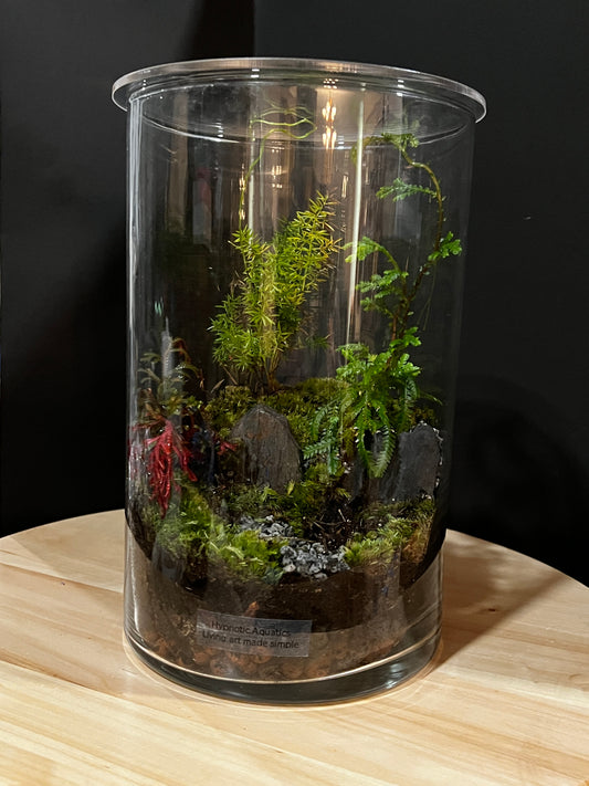 Terrarium 746