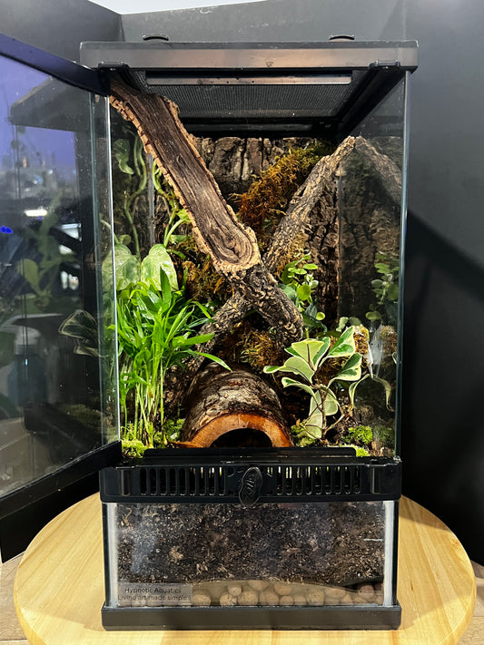 Terrarium Habitat 361