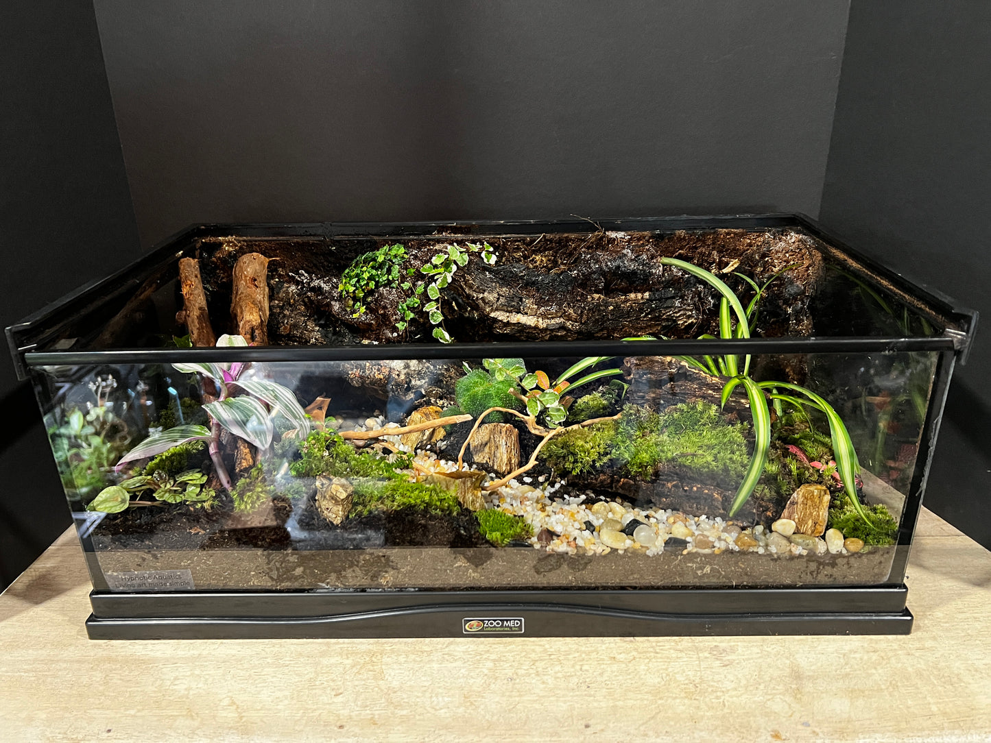 Terrarium 413 Habitat