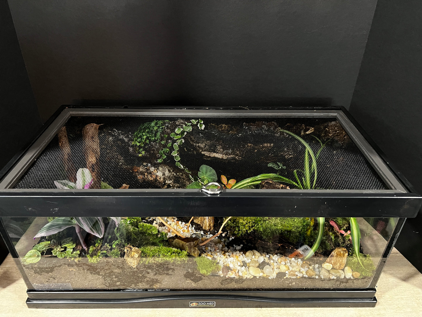 Terrarium 413 Habitat