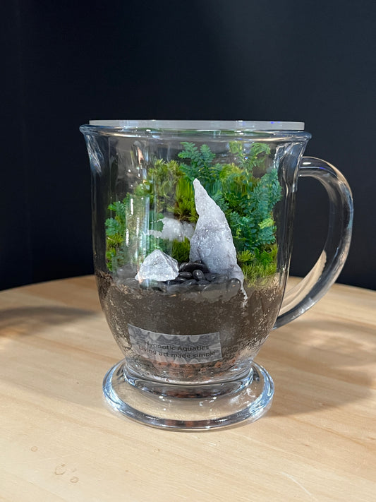 Terrarium 747