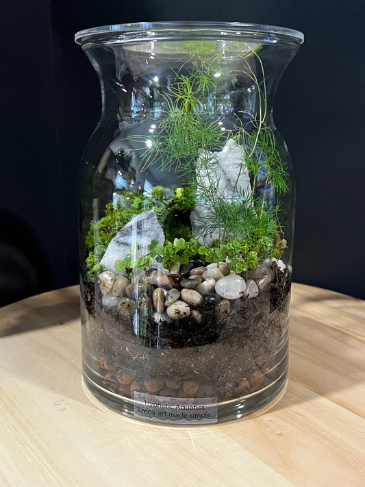 Terrarium 750
