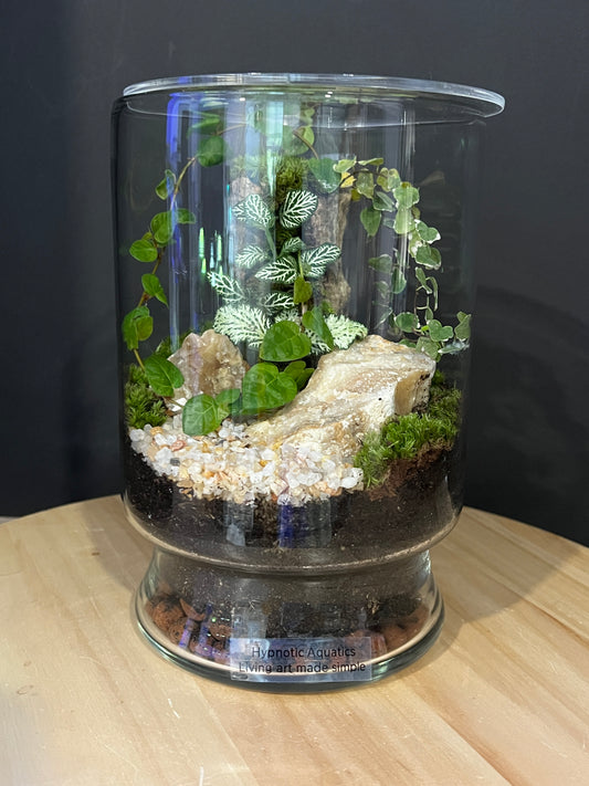 Terrarium 755