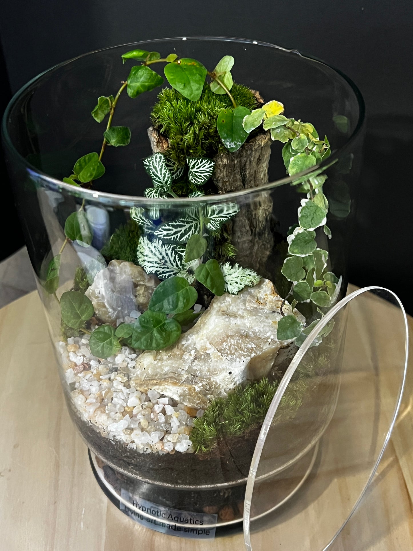 Terrarium 755