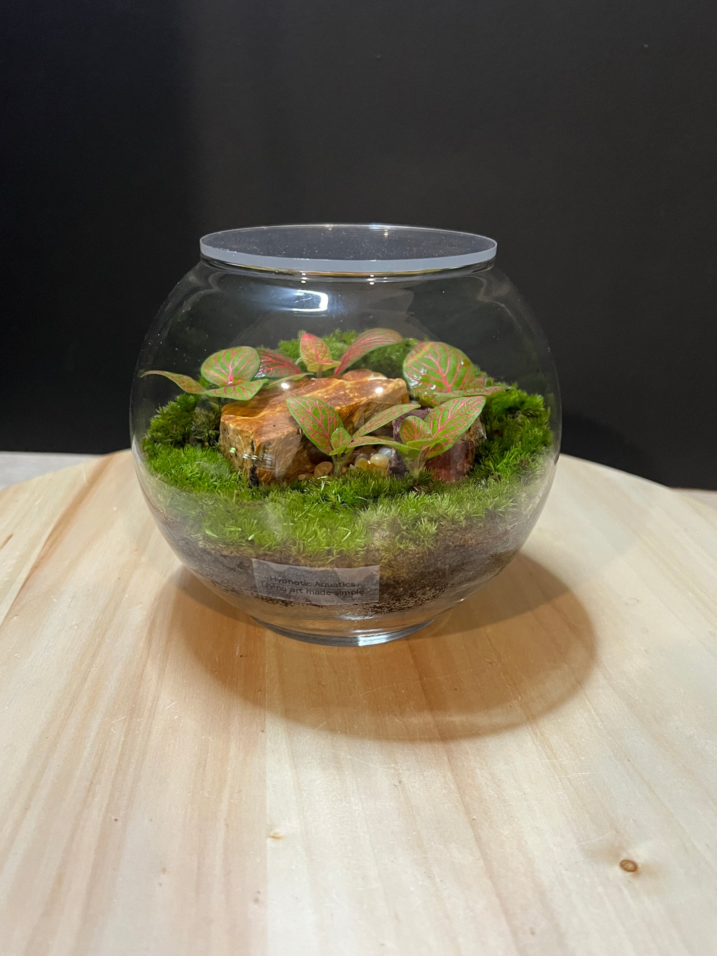 Terrarium 758