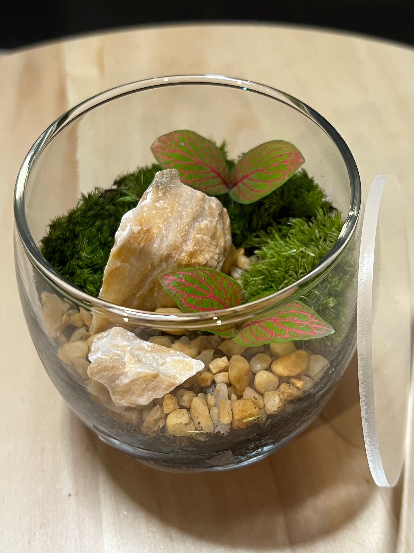 Terrarium 759