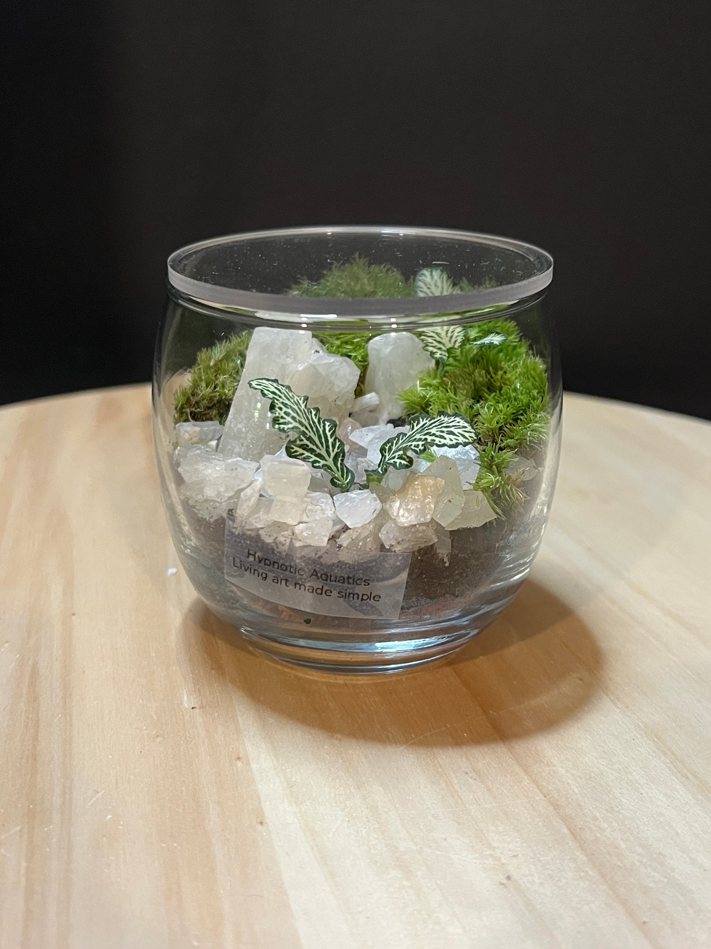 Terrarium 760