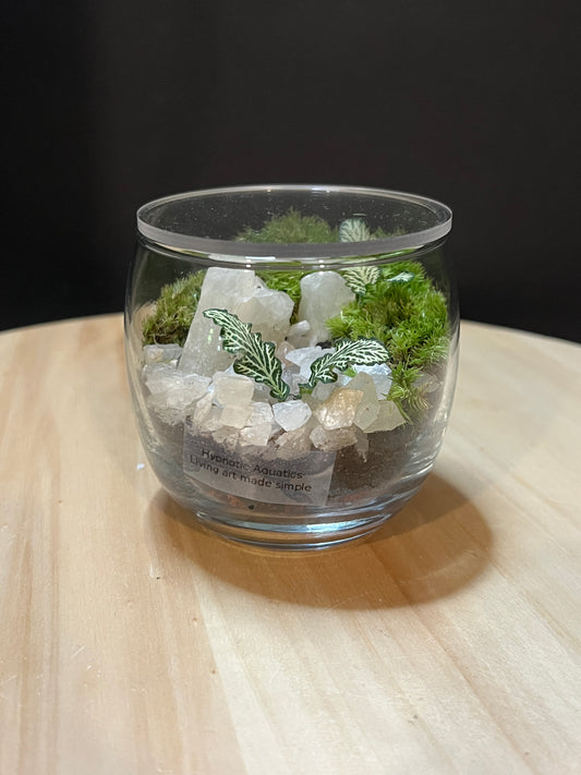 Terrarium 760