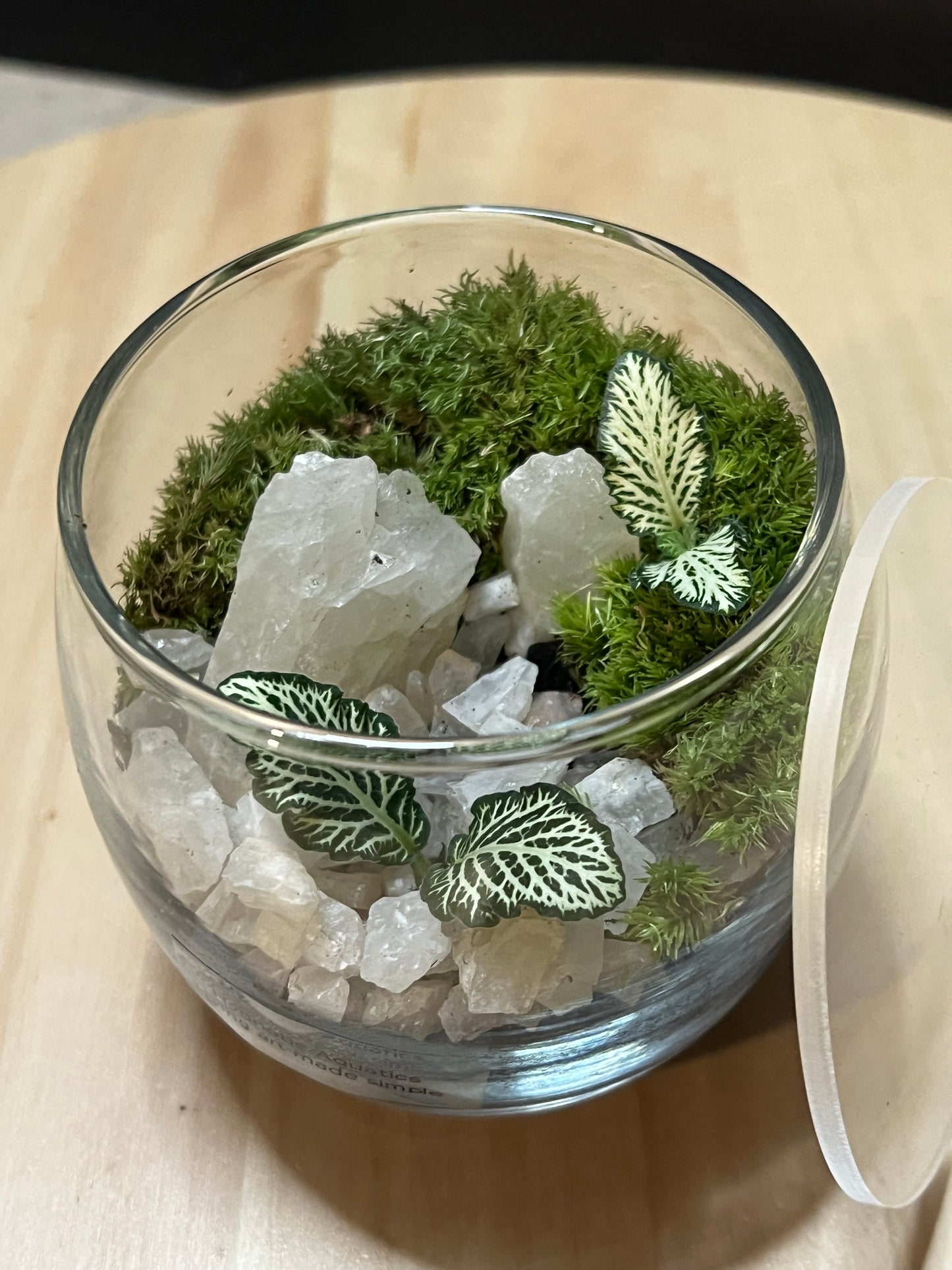 Terrarium 760