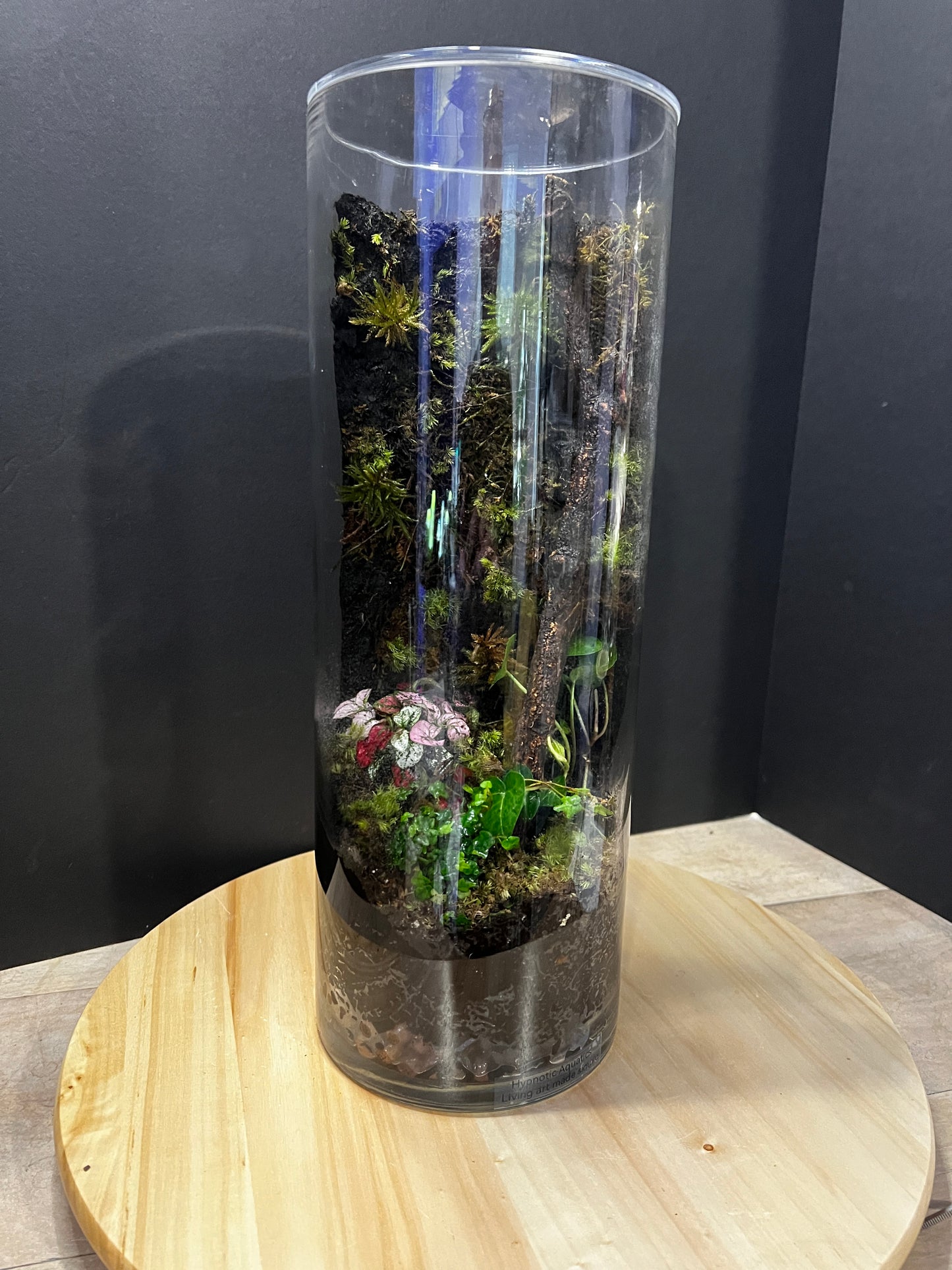 Terrarium #86