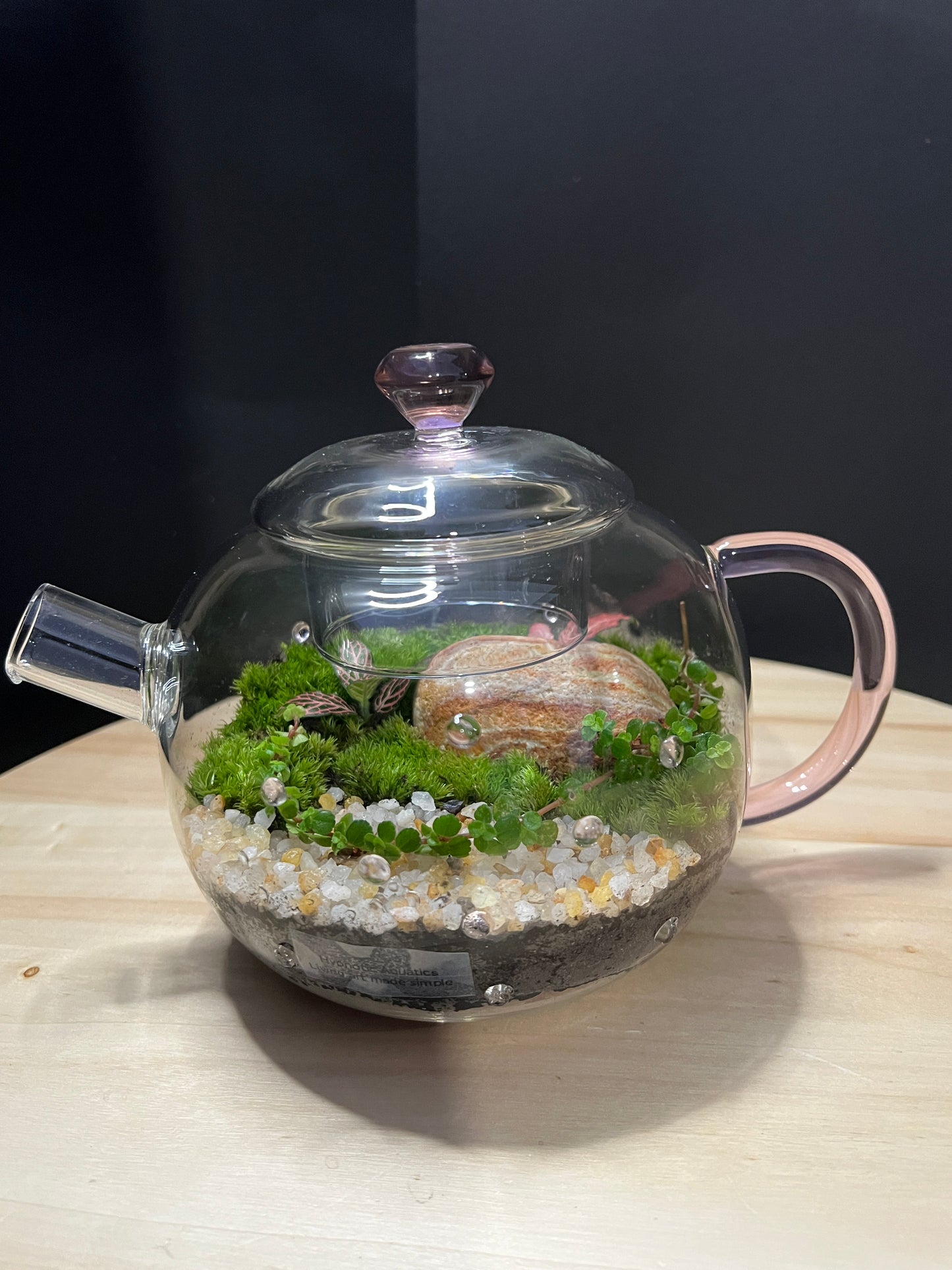 Terrarium 763