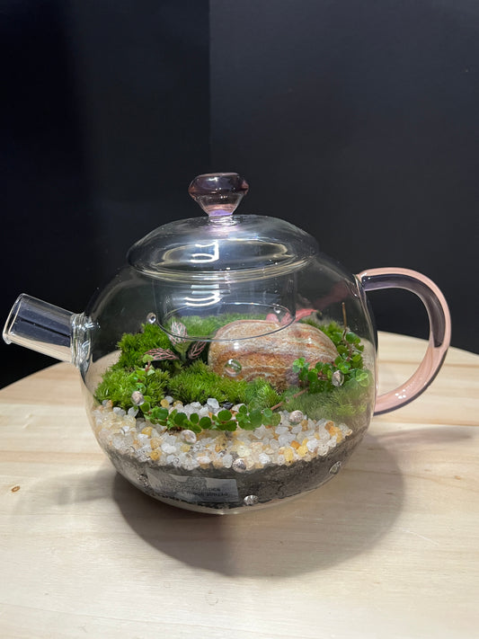 Terrarium 763