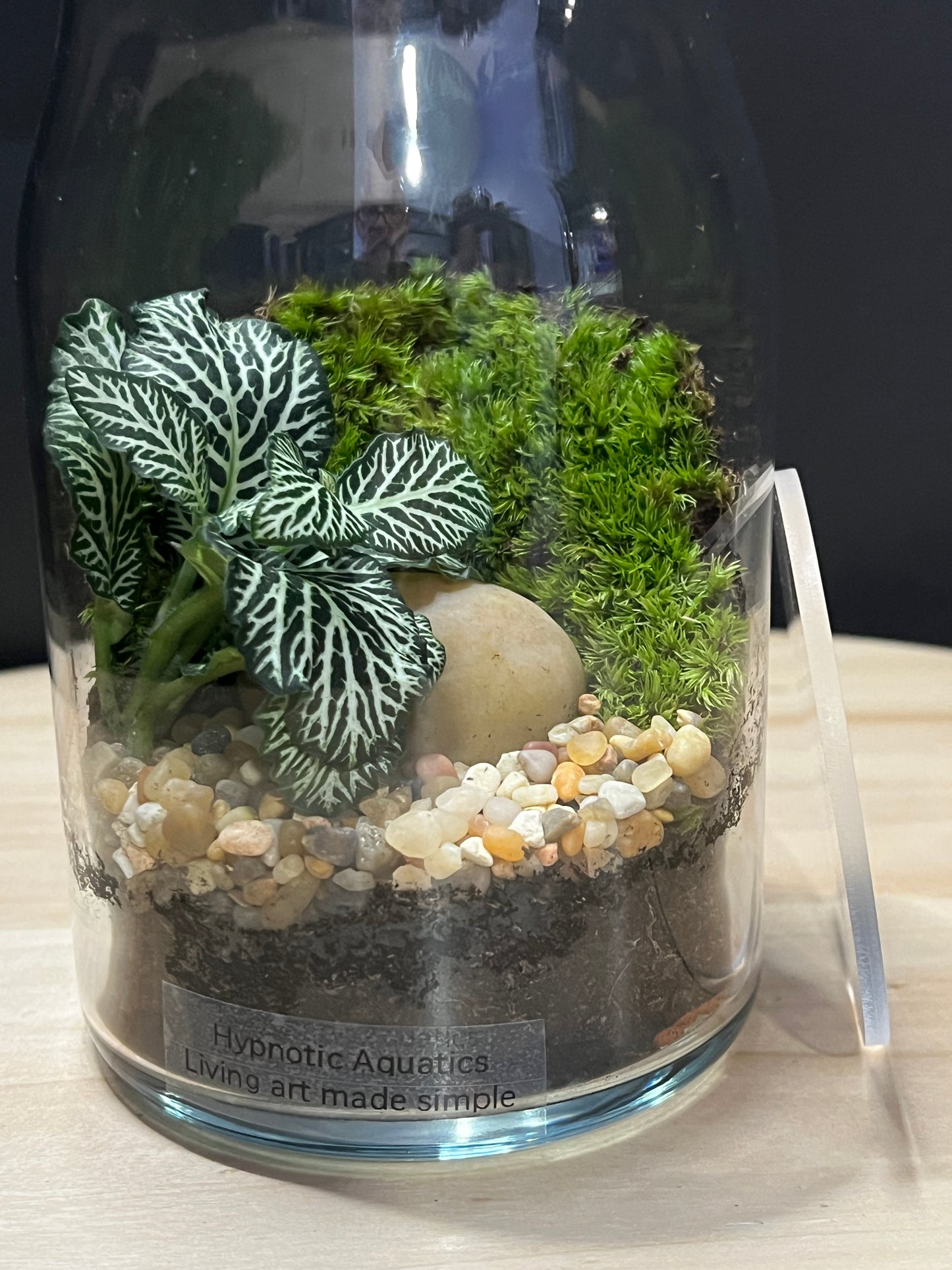 Terrarium 764