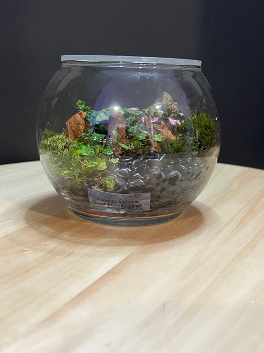 Terrarium 770