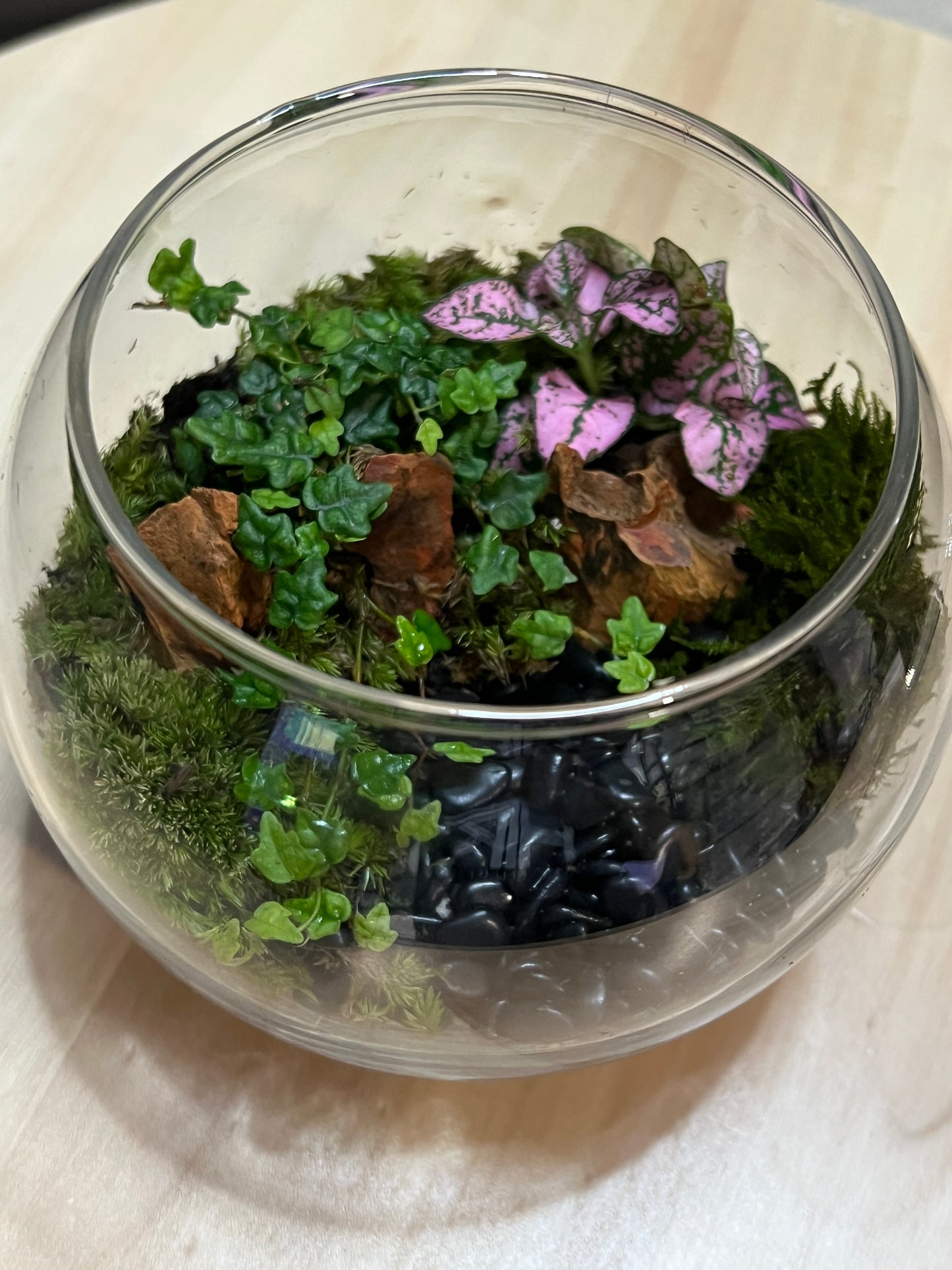 Terrarium 770