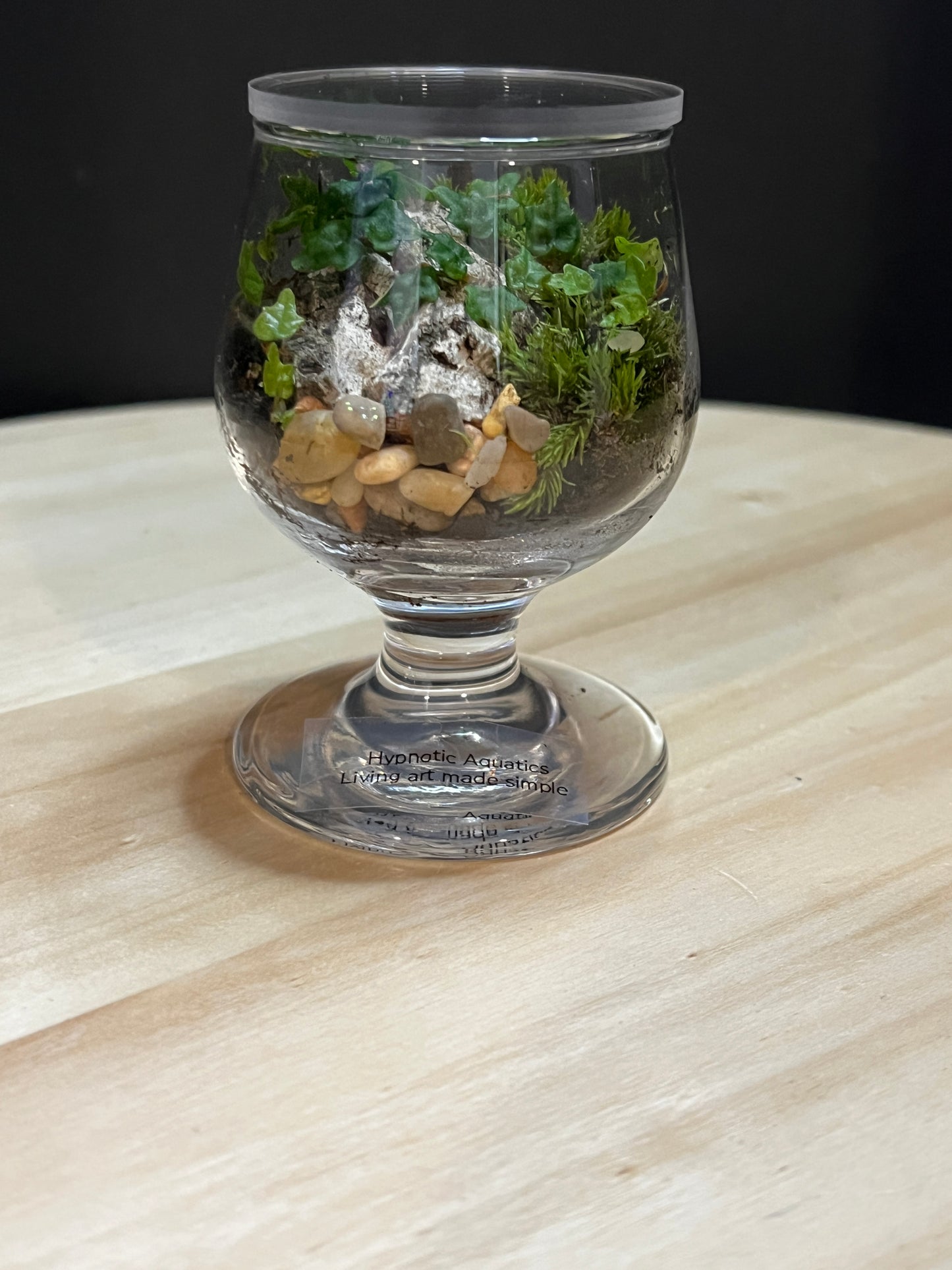 Terrarium 771