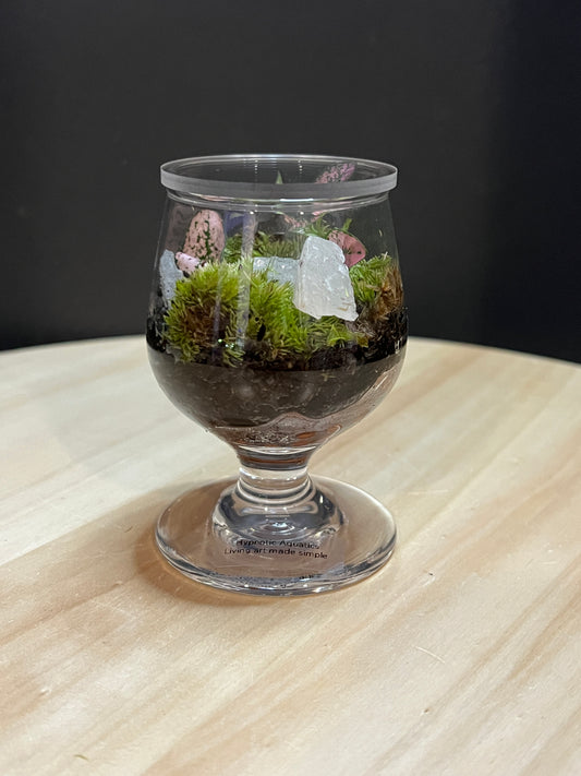 Terrarium 772