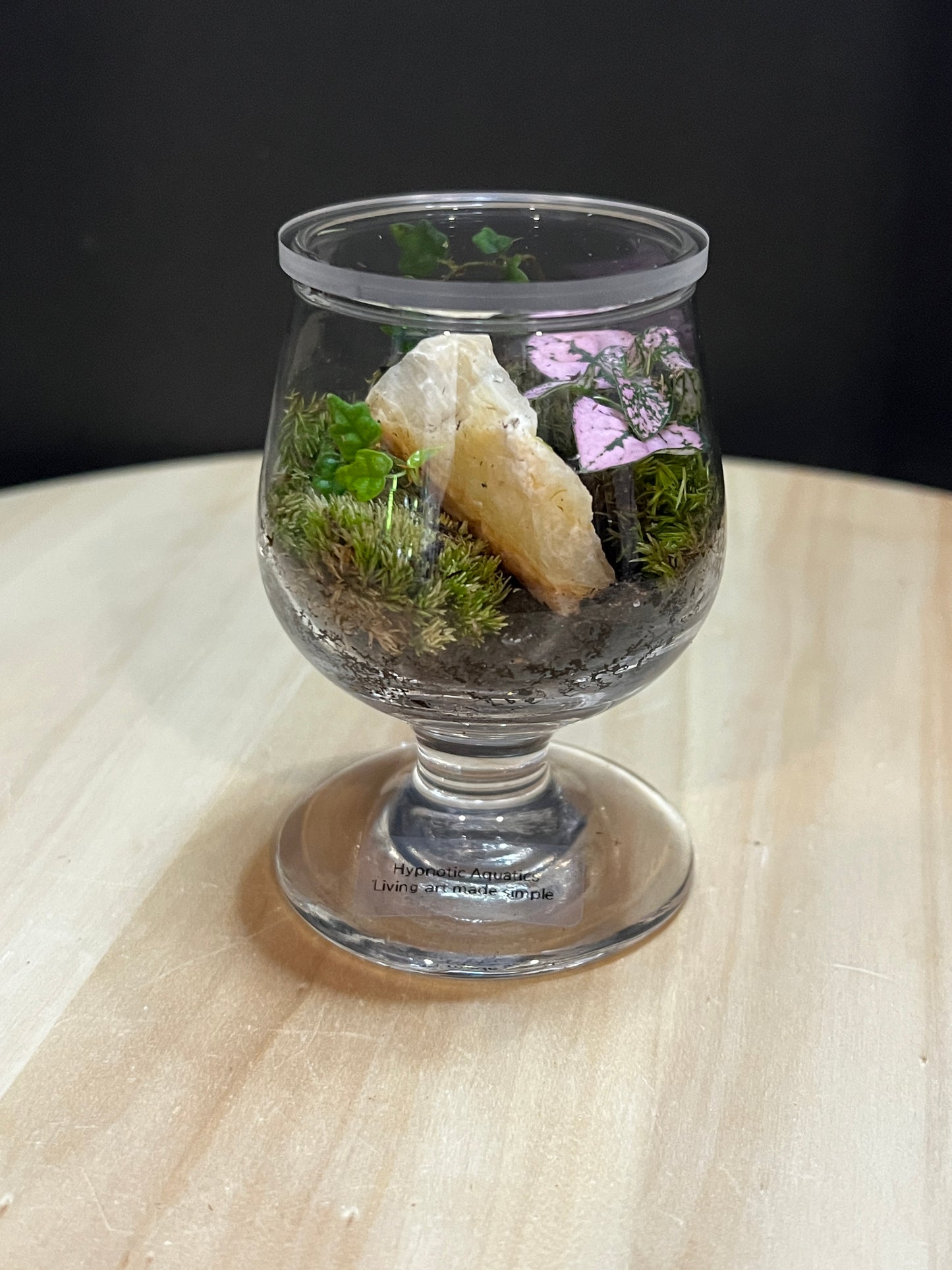 Terrarium 773