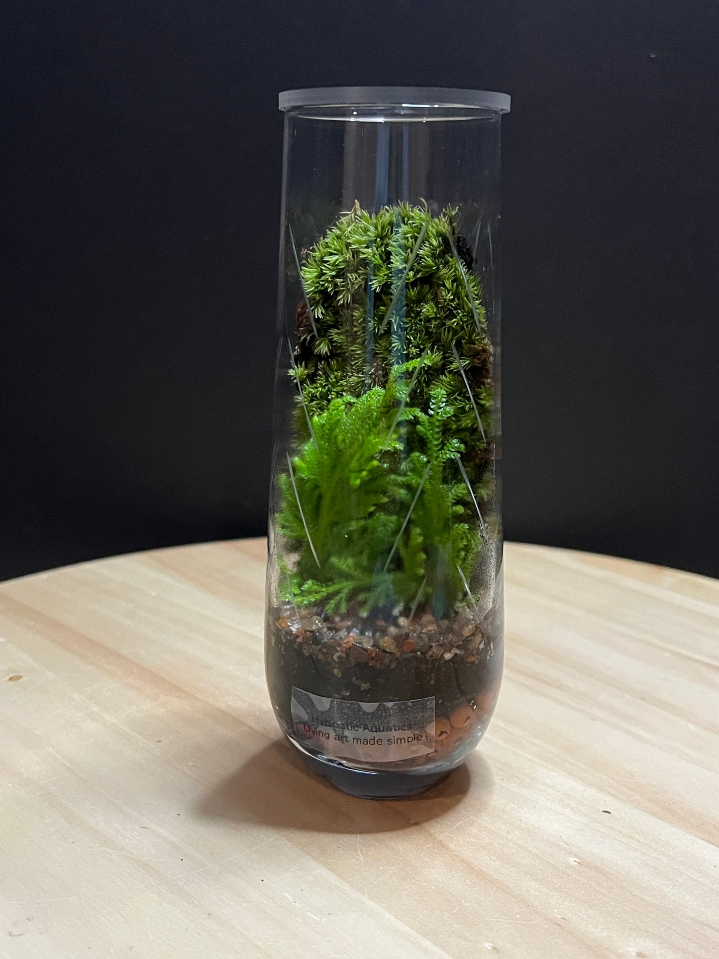 Terrarium 777