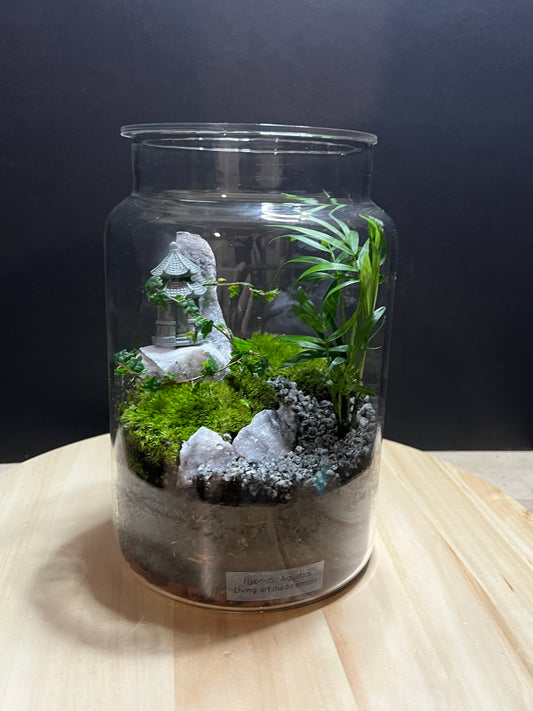 Terrarium 780