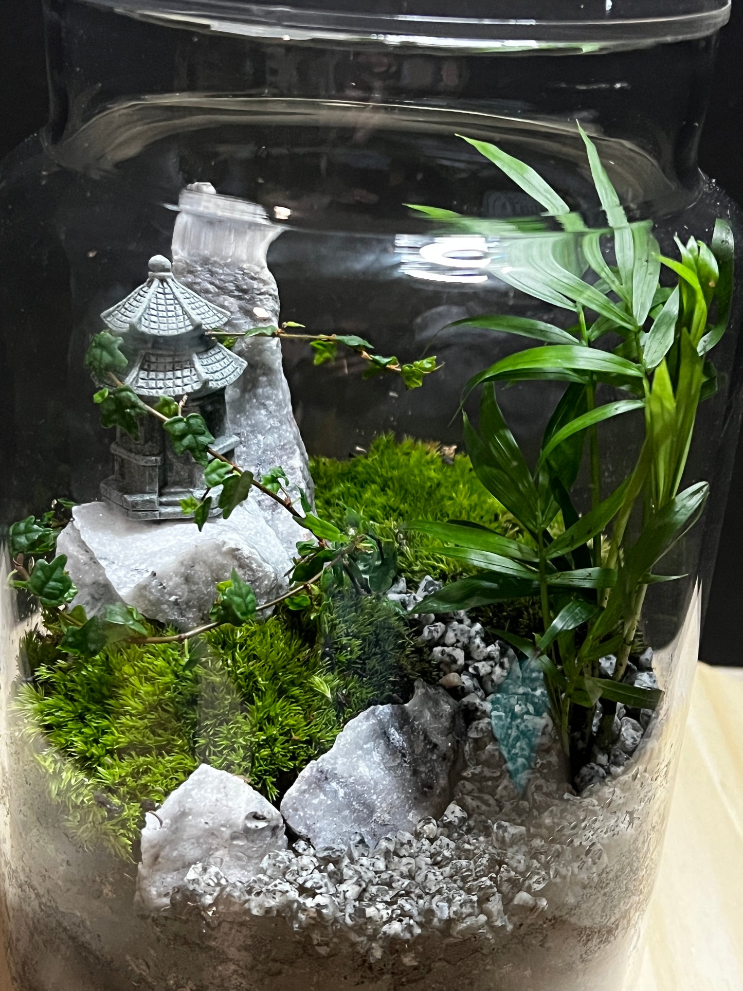 Terrarium 780