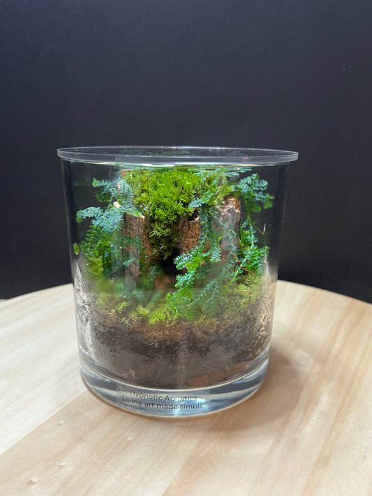 Terrarium 781