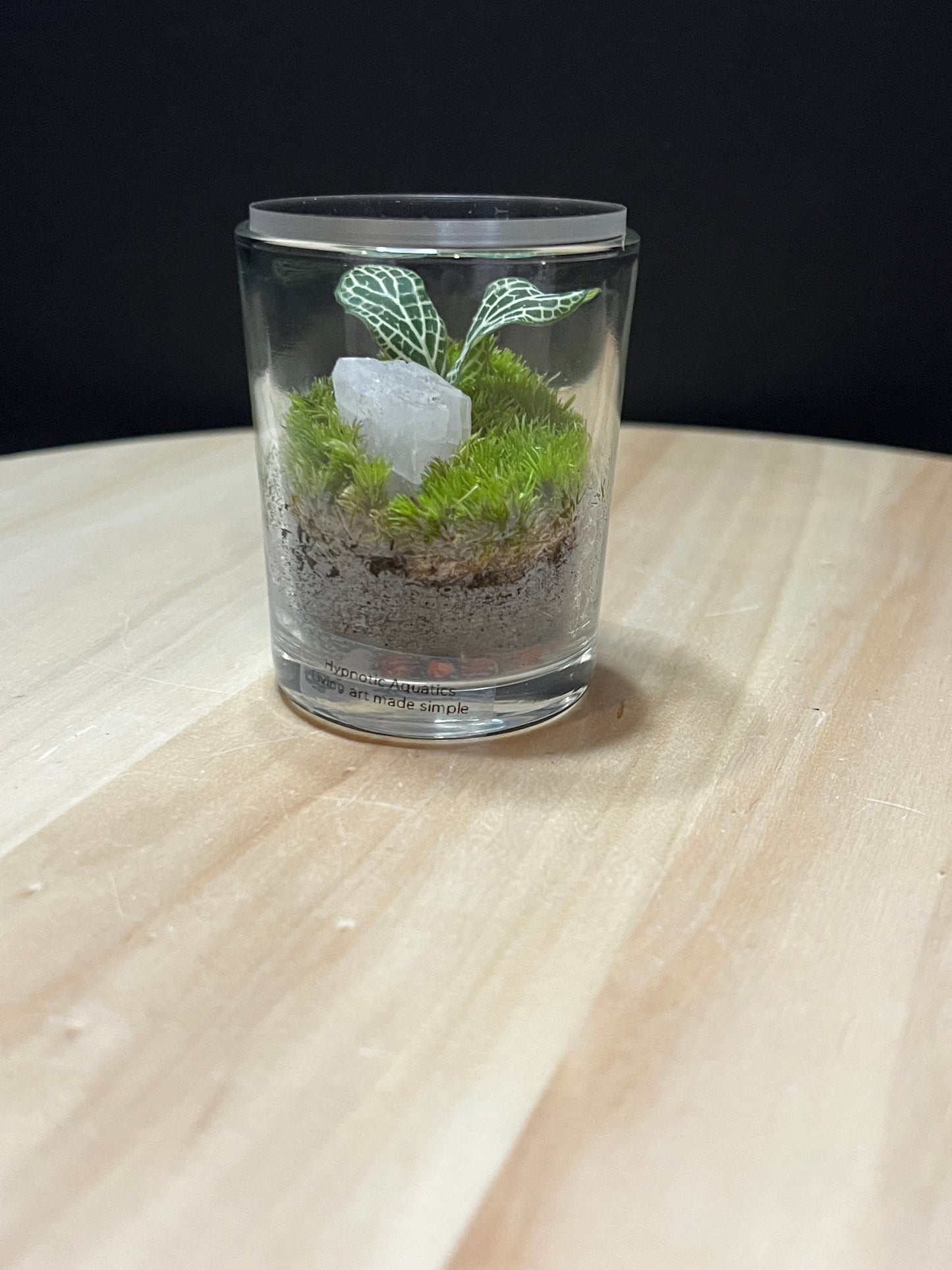 Terrarium 786