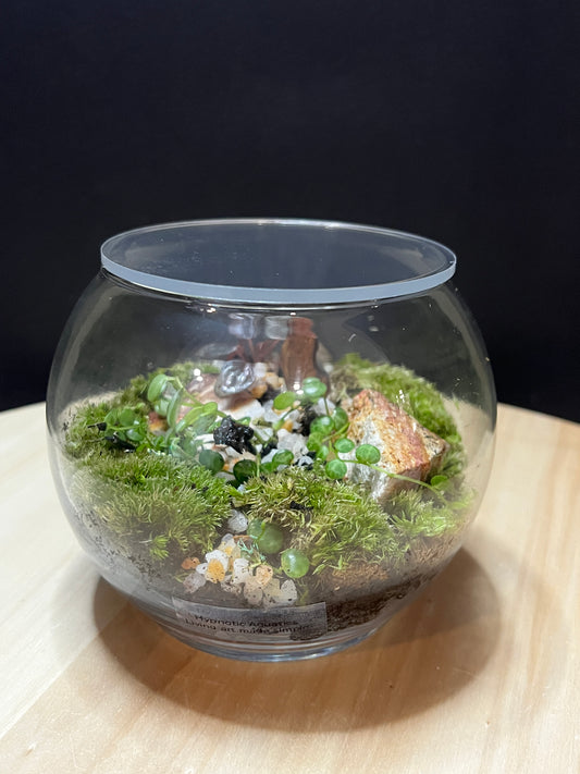 Terrarium 789