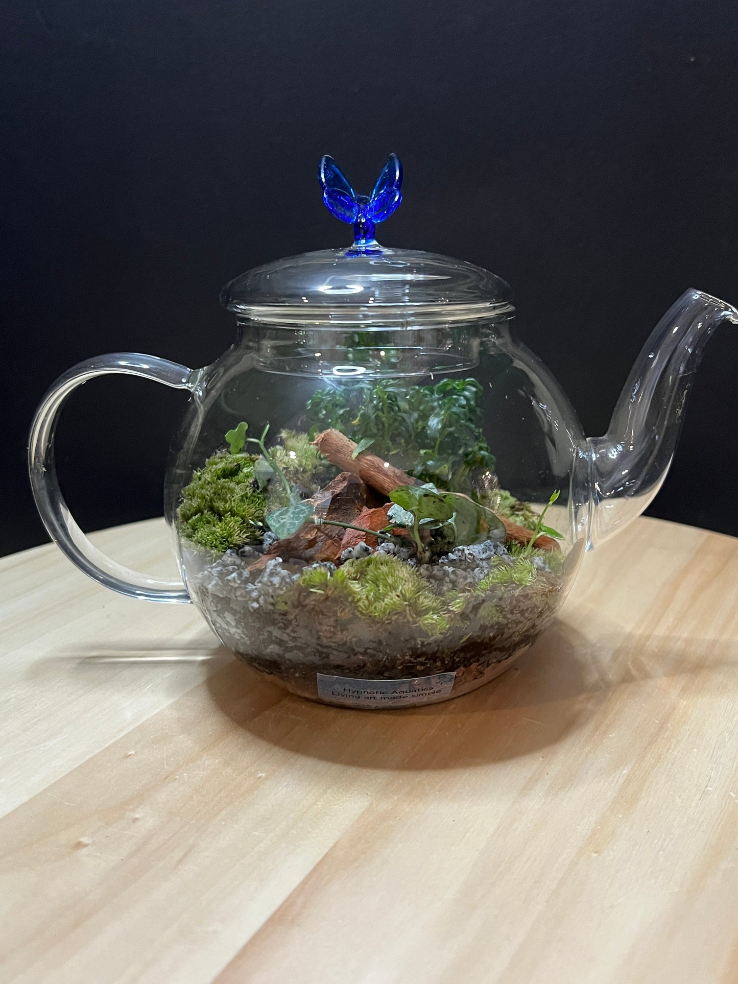 Terrarium 790