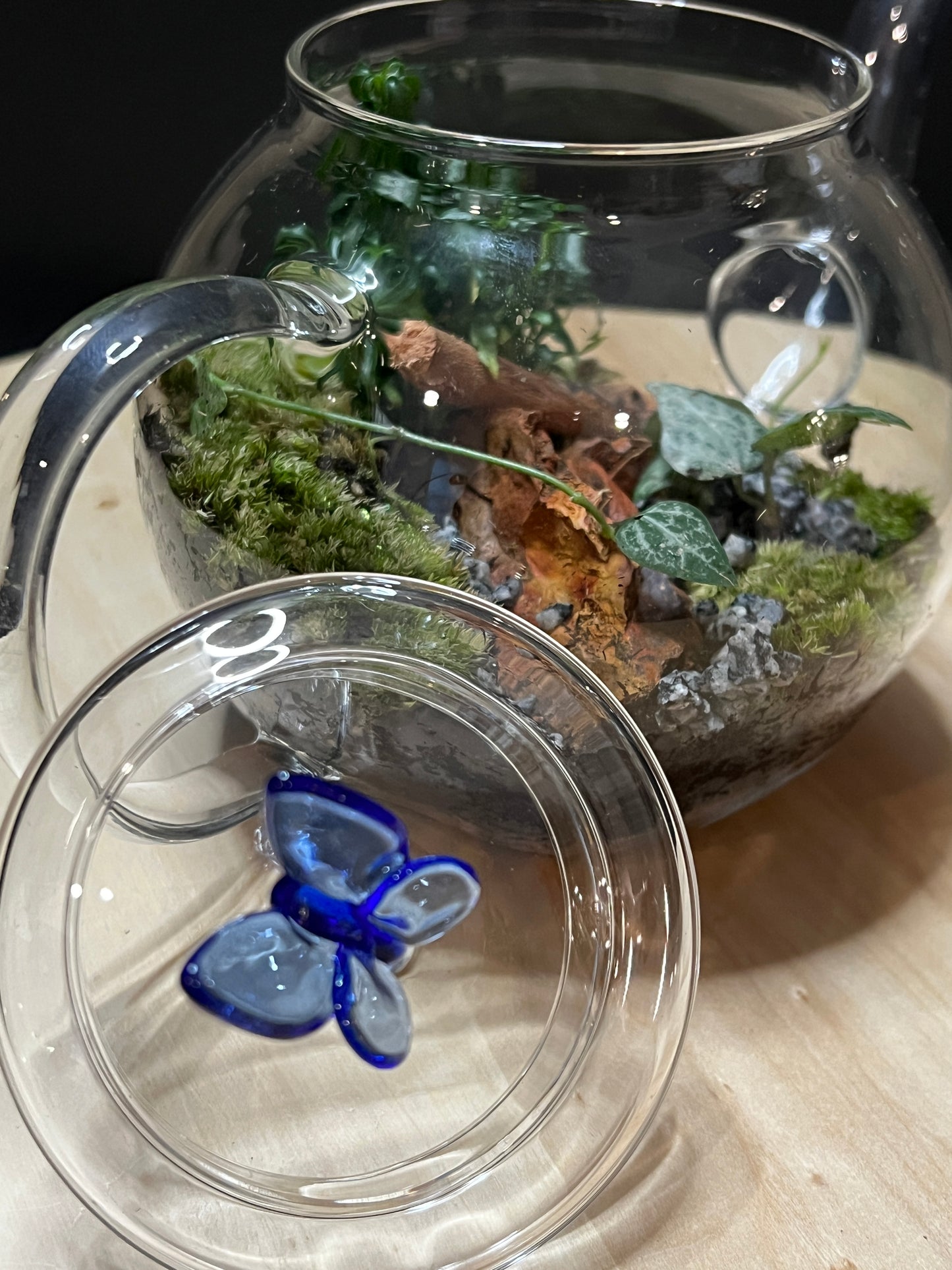 Terrarium 790