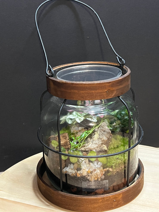 Terrarium 795