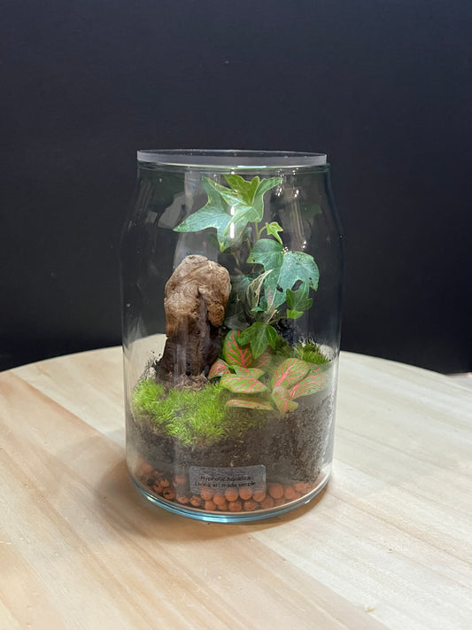 Terrarium 796
