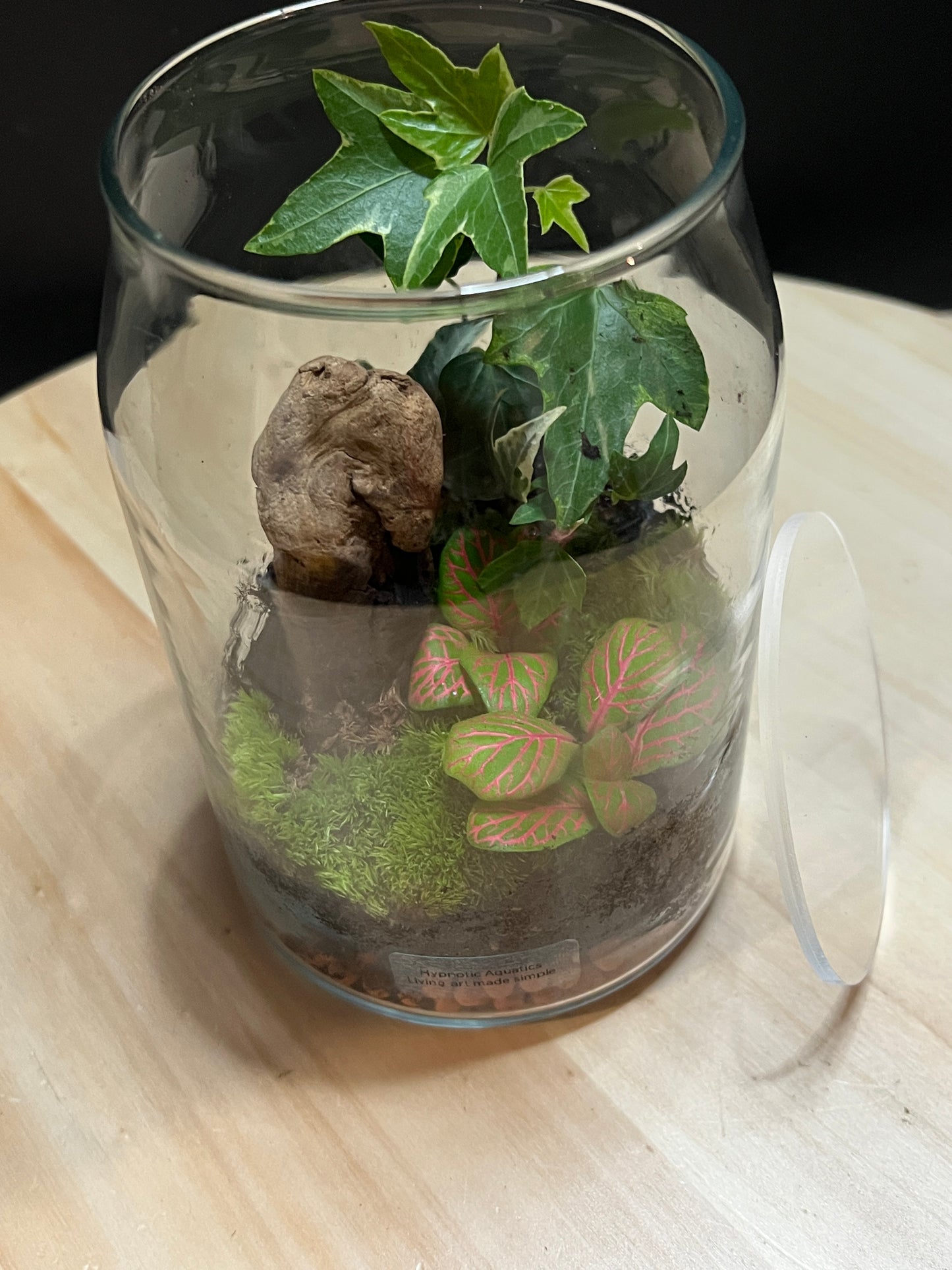 Terrarium 796