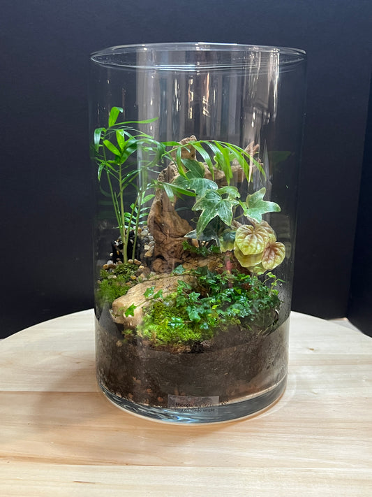 Terrarium 797