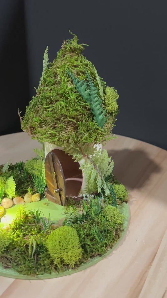 Fairy Garden: Fern Gully